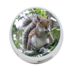 Gray Squirrel Eating Sycamore Seed 4-port Usb Hub (two Sides)  by GiftsbyNature