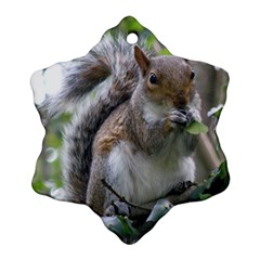 Gray Squirrel Eating Sycamore Seed Snowflake Ornament (2-side) by GiftsbyNature