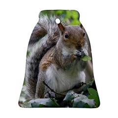 Gray Squirrel Eating Sycamore Seed Bell Ornament (2 Sides) by GiftsbyNature