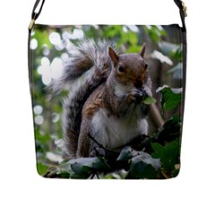 Gray Squirrel Eating Sycamore Seed Flap Messenger Bag (l)  by GiftsbyNature
