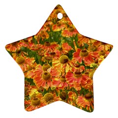 Helenium Flowers And Bees Ornament (star)  by GiftsbyNature