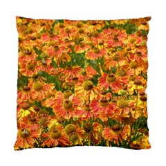 Helenium Flowers And Bees Standard Cushion Case (two Sides) by GiftsbyNature