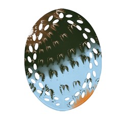 Sun-ray Swirl Design Ornament (oval Filigree)  by digitaldivadesigns