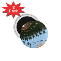 Sunraypil 1 75  Magnets (10 Pack)  by digitaldivadesigns