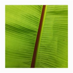 Ensete Leaf Medium Glasses Cloth