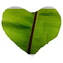 Ensete Leaf Large 19  Premium Flano Heart Shape Cushions