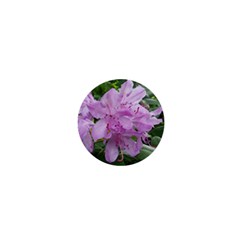 Purple Rhododendron Flower 1  Mini Buttons by picsaspassion