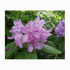 Purple Rhododendron Flower Small Glasses Cloth by picsaspassion