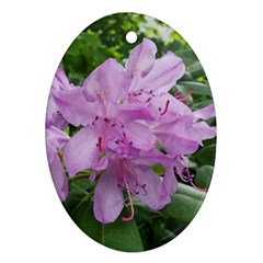 Purple Rhododendron Flower Oval Ornament (two Sides) by picsaspassion