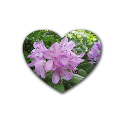 Purple Rhododendron Flower Heart Coaster (4 Pack)  by picsaspassion