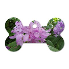 Purple Rhododendron Flower Dog Tag Bone (one Side) by picsaspassion