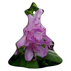 Purple Rhododendron Flower Ornament (christmas Tree) by picsaspassion