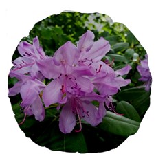 Purple Rhododendron Flower Large 18  Premium Round Cushions by picsaspassion