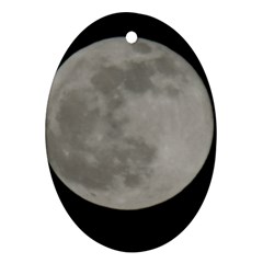 Close To The Full Moon Oval Ornament (two Sides) by picsaspassion