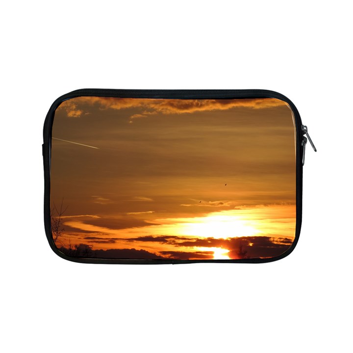 Summer Sunset Apple iPad Mini Zipper Cases