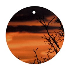 Tree Branches And Sunset Ornament (round) 