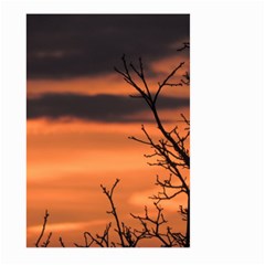 Tree Branches And Sunset Large Garden Flag (two Sides) by picsaspassion