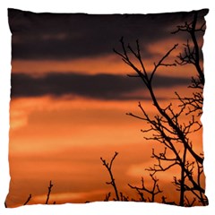 Tree Branches And Sunset Large Cushion Case (two Sides) by picsaspassion