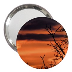 Tree Branches And Sunset 3  Handbag Mirrors by picsaspassion