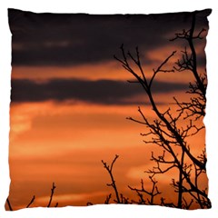 Tree Branches And Sunset Standard Flano Cushion Case (one Side) by picsaspassion