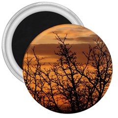 Colorful Sunset 3  Magnets by picsaspassion