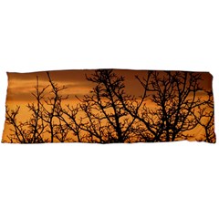 Colorful Sunset Body Pillow Case (dakimakura) by picsaspassion