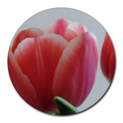 Red - White Tulip Flower Round Mousepads by picsaspassion