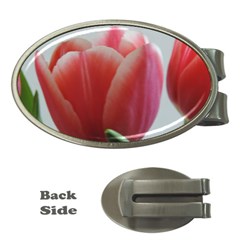 Red - White Tulip Flower Money Clips (oval)  by picsaspassion