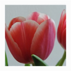 Red - White Tulip Flower Medium Glasses Cloth (2-side)