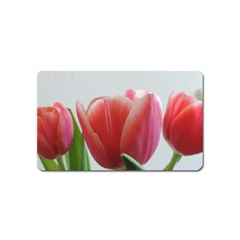 Red Tulips Magnet (name Card) by picsaspassion