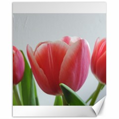 Red Tulips Canvas 16  X 20   by picsaspassion