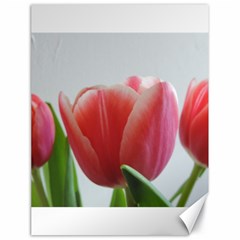 Red Tulips Canvas 18  X 24   by picsaspassion