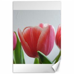 Red Tulips Canvas 24  X 36  by picsaspassion