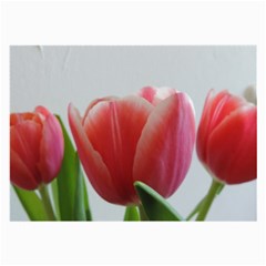 Red Tulips Large Glasses Cloth (2-side)
