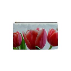 Red Tulips Cosmetic Bag (small)  by picsaspassion