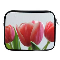 Red Tulips Apple Ipad 2/3/4 Zipper Cases by picsaspassion