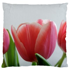 Red Tulips Large Flano Cushion Case (two Sides)