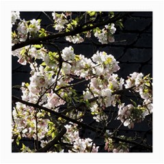 Blooming Japanese Cherry Flowers Medium Glasses Cloth (2-side)