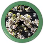 Blooming Japanese cherry flowers Color Wall Clocks Front