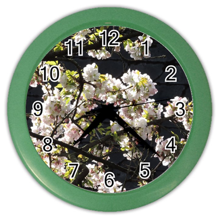 Blooming Japanese cherry flowers Color Wall Clocks