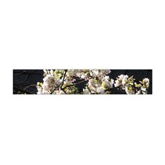 Blooming Japanese Cherry Flowers Flano Scarf (mini) by picsaspassion