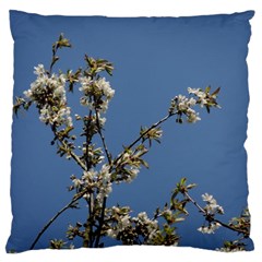 White Cherry Flowers And Blue Sky Large Flano Cushion Case (one Side)
