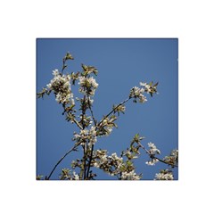 White Cherry Flowers And Blue Sky Satin Bandana Scarf