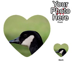 Goose Bird In Nature Multi-purpose Cards (heart)  by picsaspassion