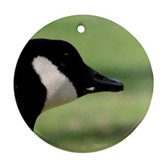 Goose, Black And White Ornament (round)  by picsaspassion