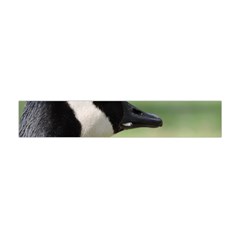 Goose, Black And White Flano Scarf (mini)
