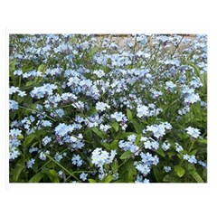 Blue Forget-me-not Flowers Double Sided Flano Blanket (medium) 