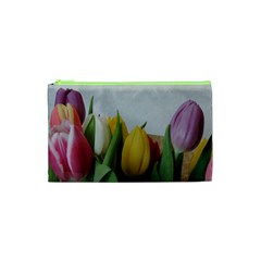 Colorful Bouquet Tulips Cosmetic Bag (xs)