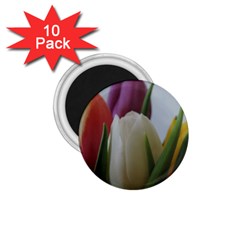 Colored By Tulips 1 75  Magnets (10 Pack)  by picsaspassion