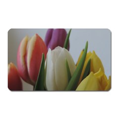 Colored By Tulips Magnet (rectangular) by picsaspassion